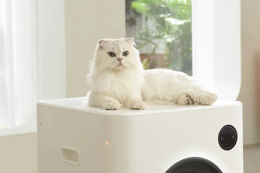 cat litter box that cleans itself